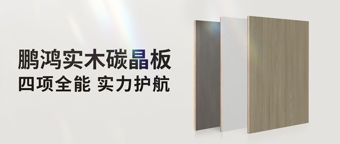 四项全能碳晶板，解锁家装超能力